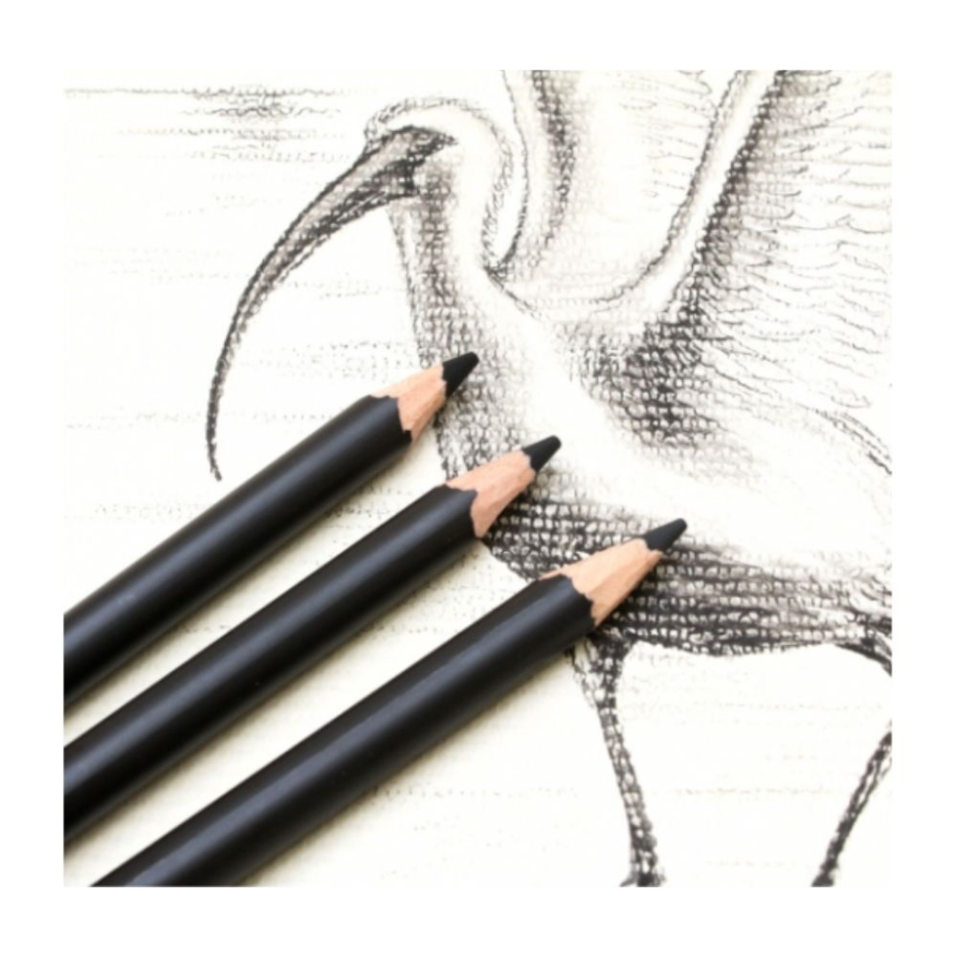 Mont Marte Charcoal Pencils 12pc