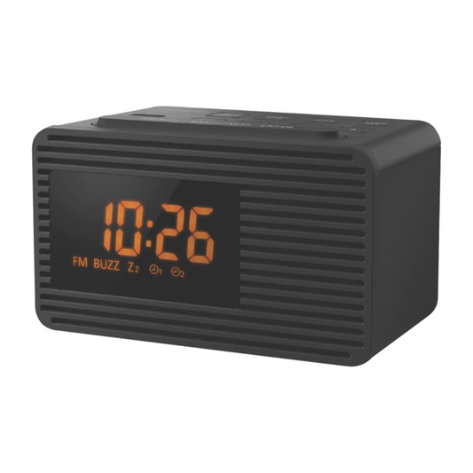 Panasonic Dual Alarm Clock Radio