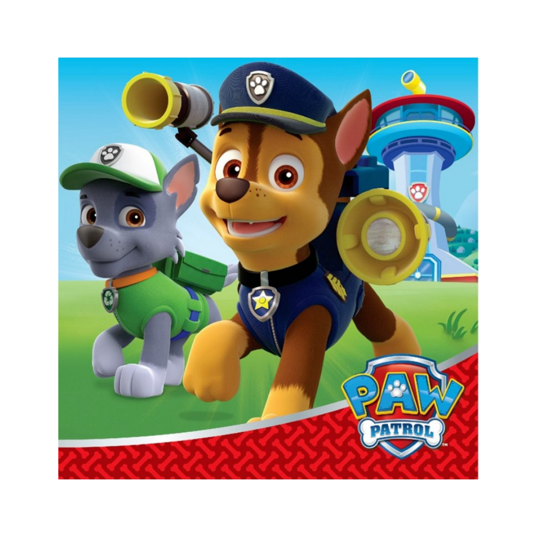 Paw Patrol Party Pack 40Pc