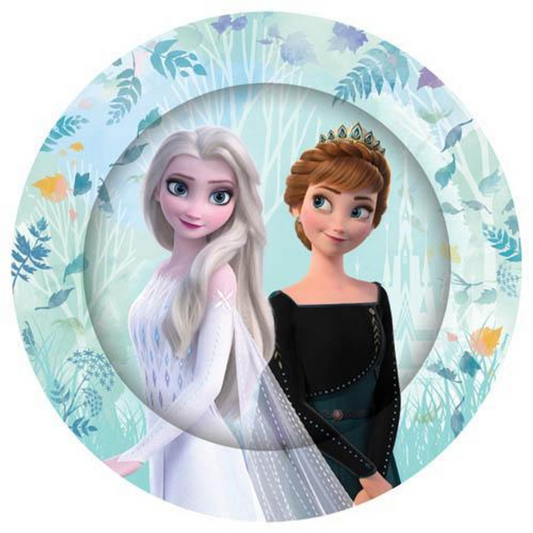 Frozen Party Supplies Disney Frozen Dinner Plates 8pk